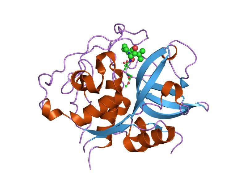 File:PDB 1sp4 EBI.jpg