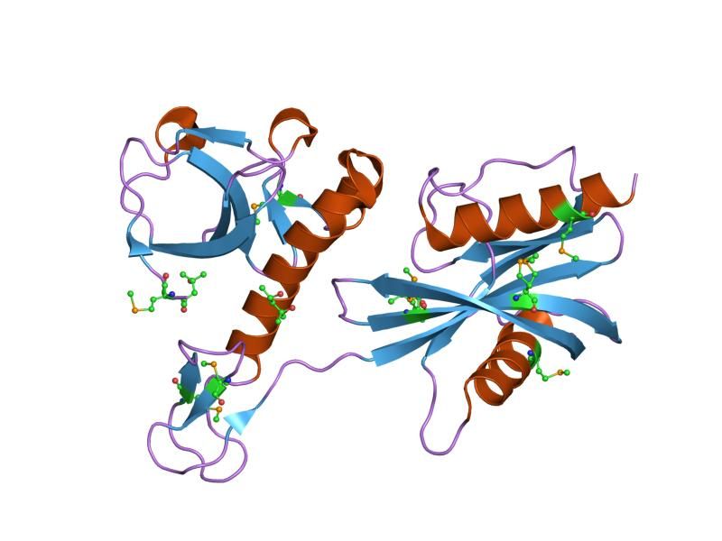 File:PDB 1vk6 EBI.jpg