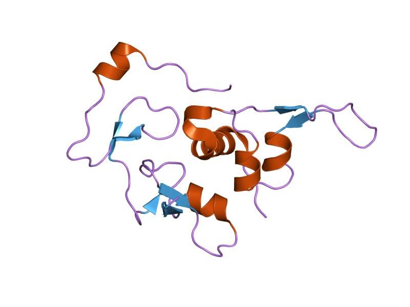 File:PDB 1wqj EBI.jpg