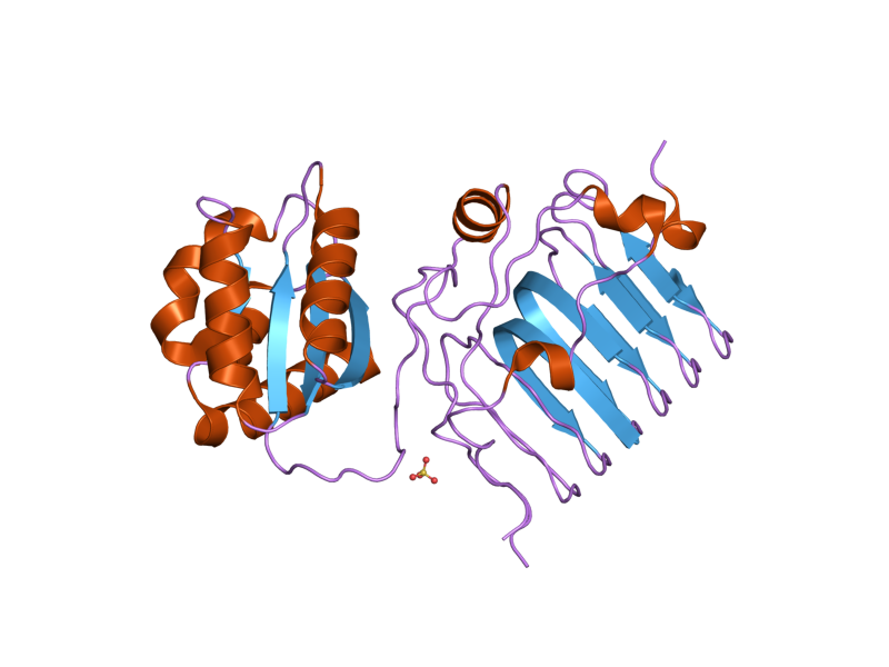 File:PDB 2bx6 EBI.png