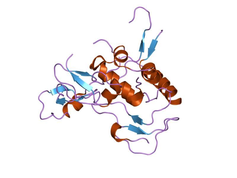 File:PDB 2dsr EBI.jpg