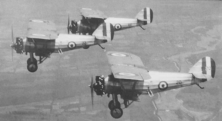 File:RCAF Siskins aerobatic team.jpg