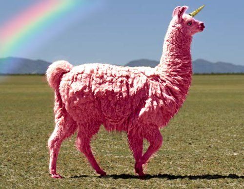 File:Unicorn llama.jpg