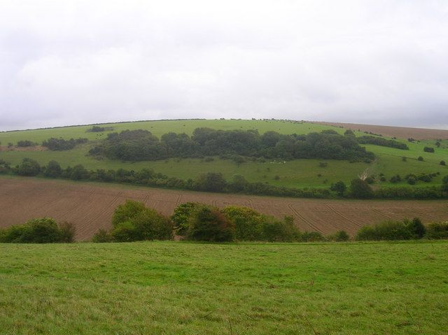 File:West Hill - geograph.org.uk - 958096.jpg