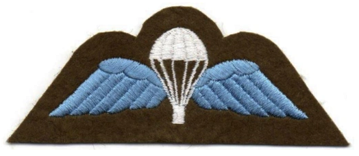 File:British Army Parachute Badge with Wings.png