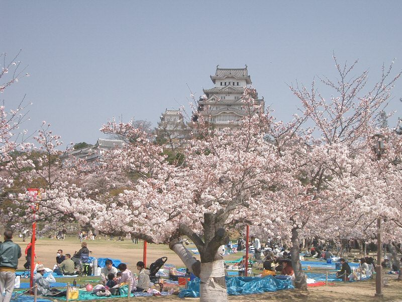 File:Castle Himeji sakura02.jpg