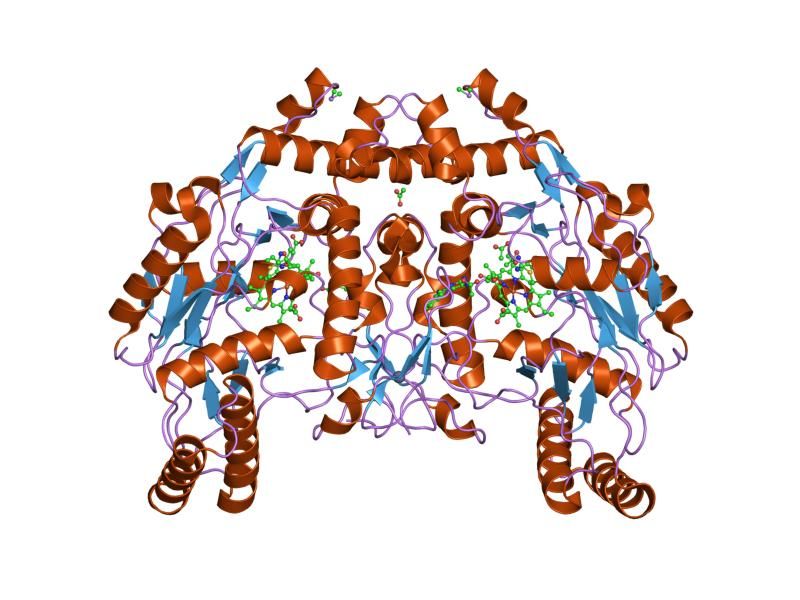 File:PDB 1dmk EBI.jpg