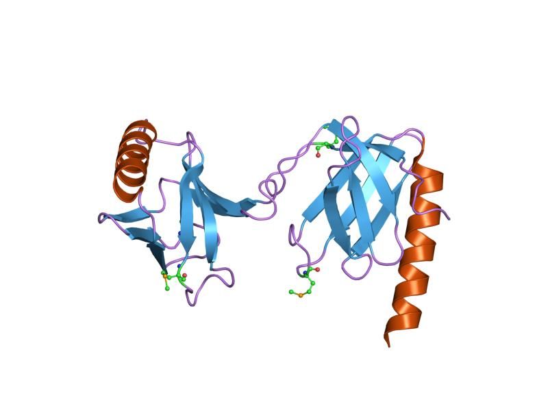 File:PDB 1j0w EBI.jpg