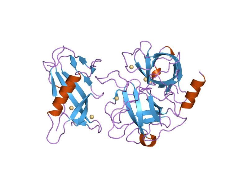 File:PDB 1l4z EBI.jpg