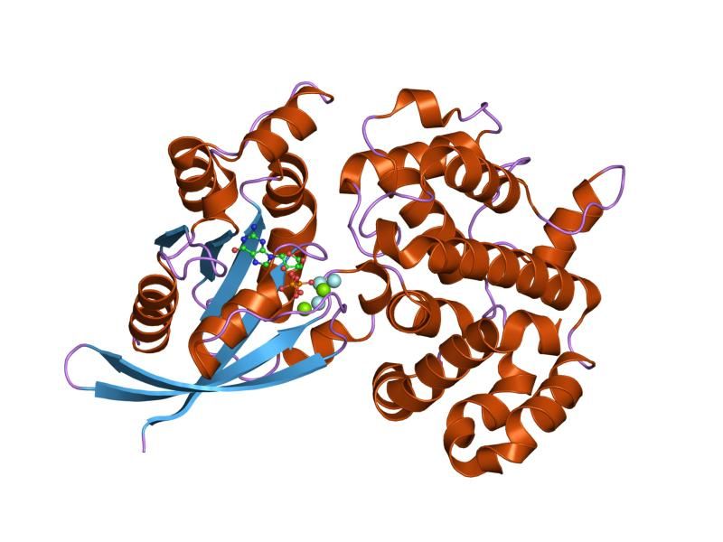 File:PDB 1ow3 EBI.jpg