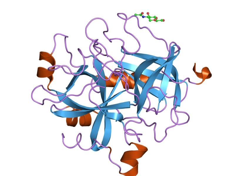 File:PDB 1tmt EBI.jpg