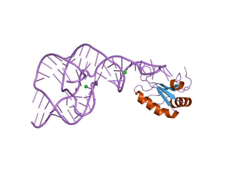 File:PDB 1vc7 EBI.jpg