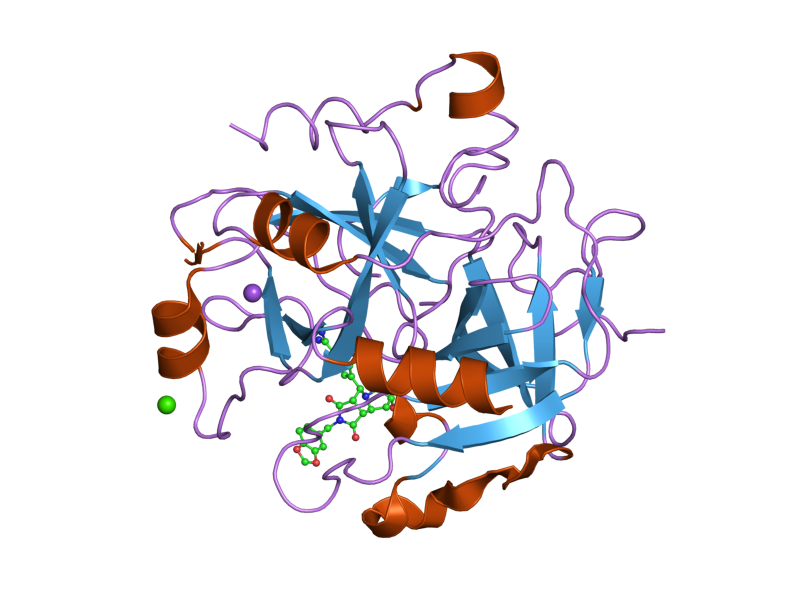 File:PDB 1vzq EBI.png