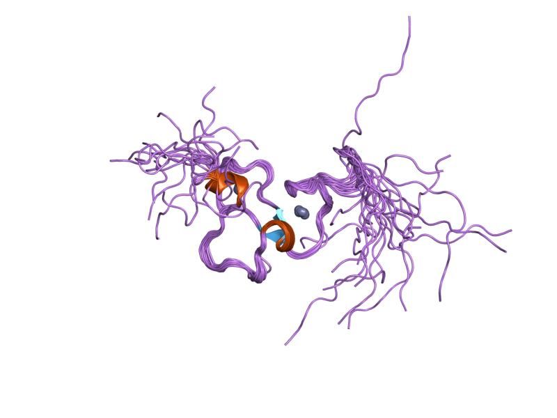 File:PDB 1wen EBI.jpg