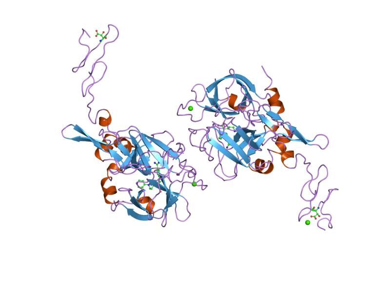 File:PDB 1xkb EBI.jpg