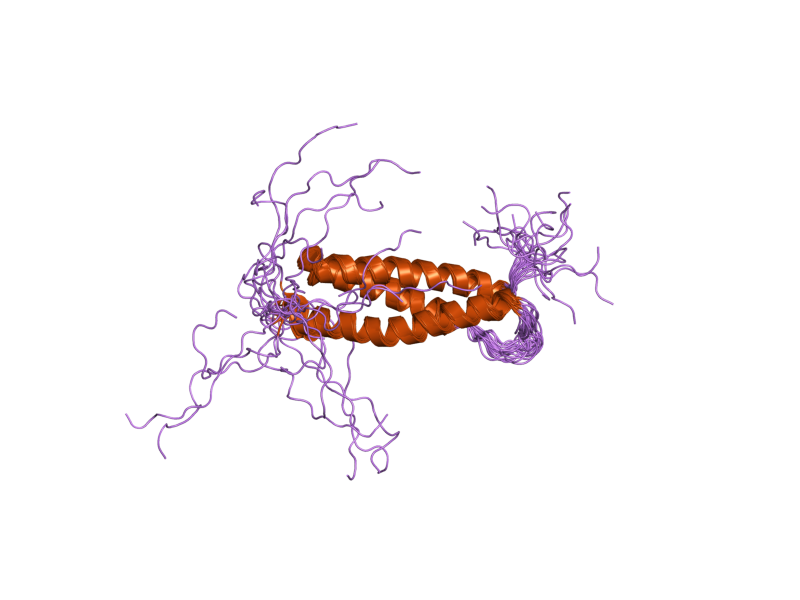 File:PDB 2dl1 EBI.png