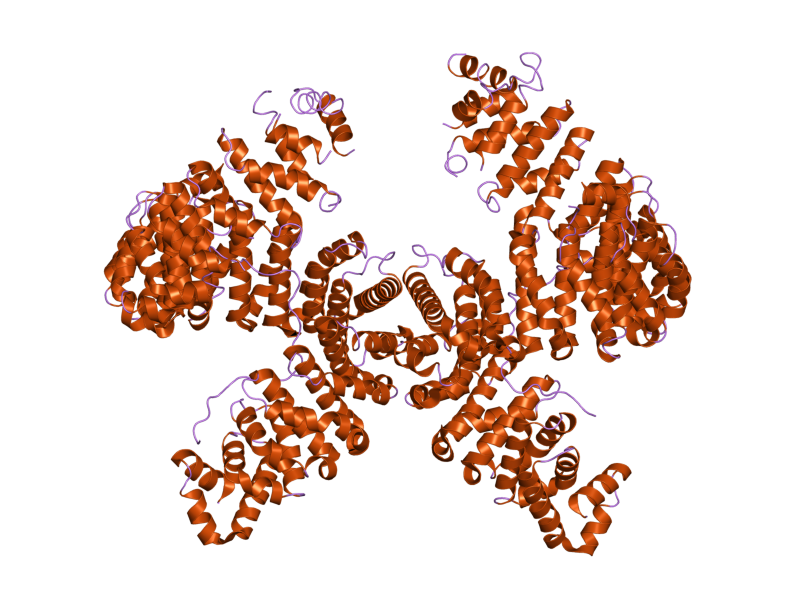 File:PDB 2h4m EBI.png