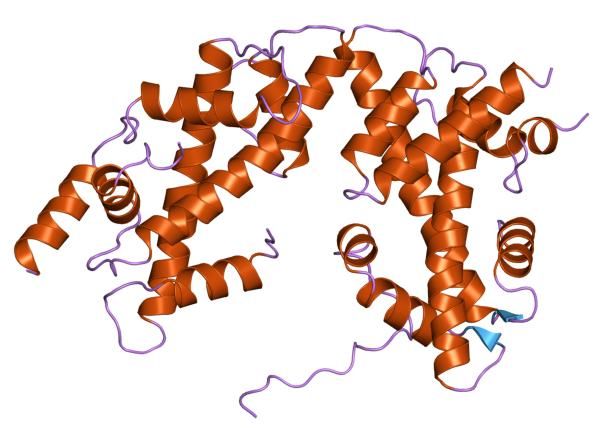 File:PDB 2hio EBI.jpg