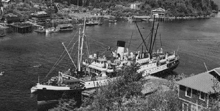 File:Princess Norah (steamship) at Bamfield, 1929.jpg