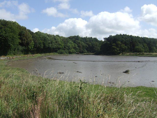 File:Saleen Creek - geograph.org.uk - 1385625.jpg