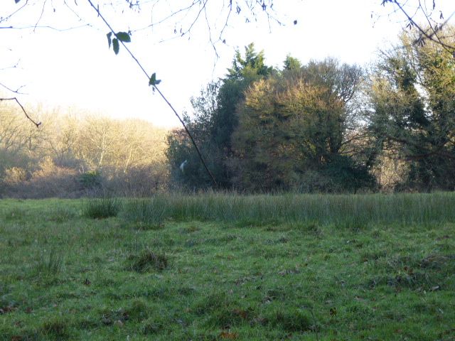 File:Stockland Farm Meadows (3).jpg