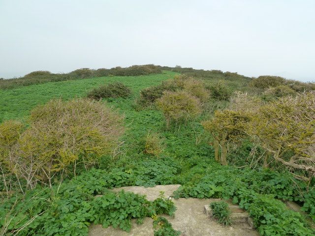 File:The western plateau, Steep Holm (geograph 2106905).jpg