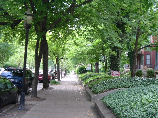 File:Tree lined 4th Street in Old Louisville.jpg