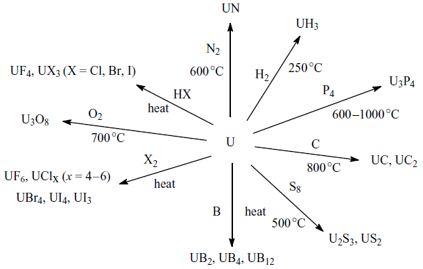 File:Uranium reactions.png