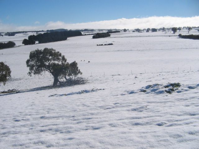 File:Winterrainsnow 020.jpg