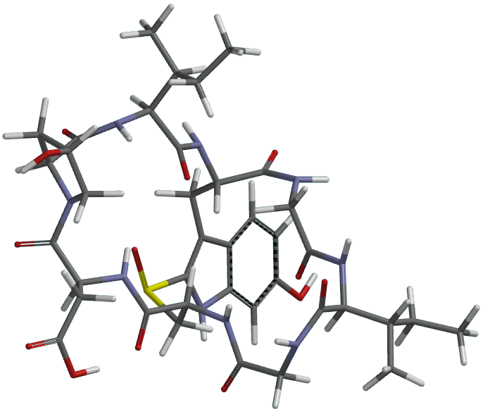 File:Amanullinic acid with tube model.png