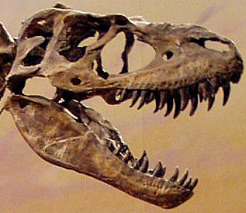 File:Drumheller 150 cropped.jpg