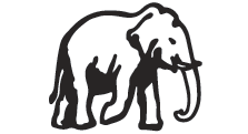 File:Election Symbol United National Party Sri Lanka.png