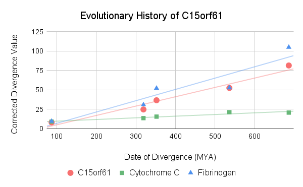 File:Evolutionary History of C15orf61.png