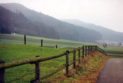 File:Fields outside Killwangen.JPG