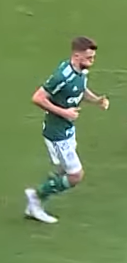 File:Hyoran-palmeiras-2018.png