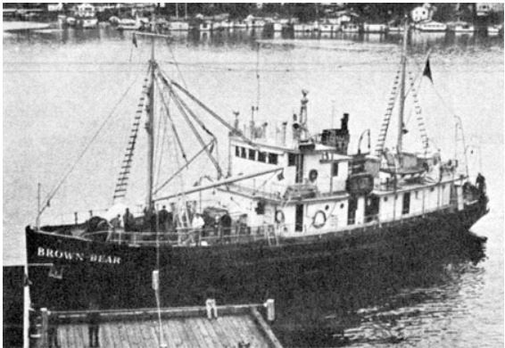 File:MV Brown Bear in 1963.JPG