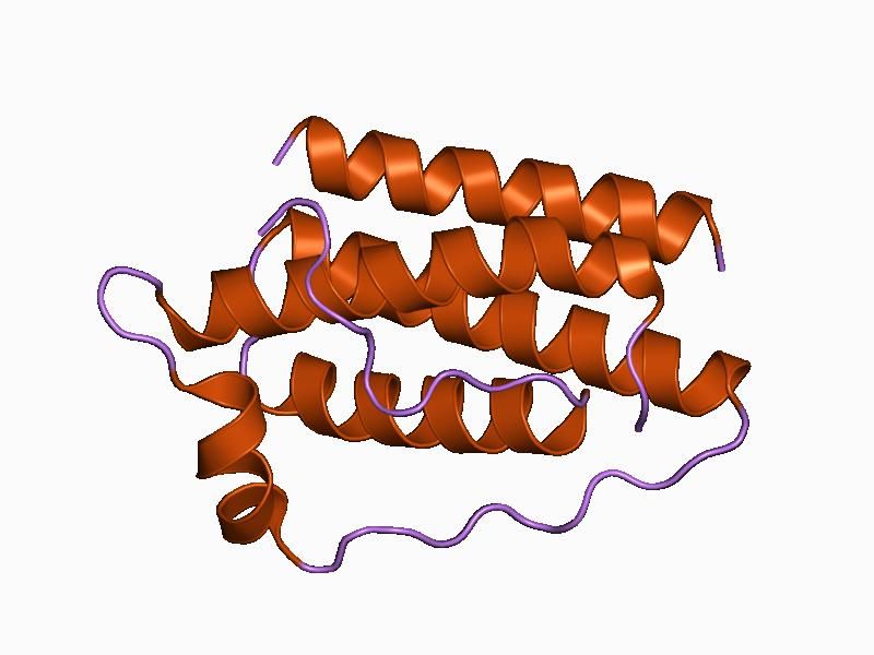 File:PDB 1ax8 EBI.jpg