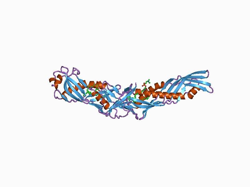 File:PDB 1bp1 EBI.jpg