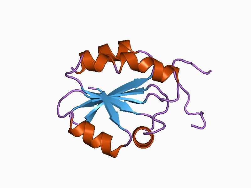 File:PDB 1cqh EBI.jpg