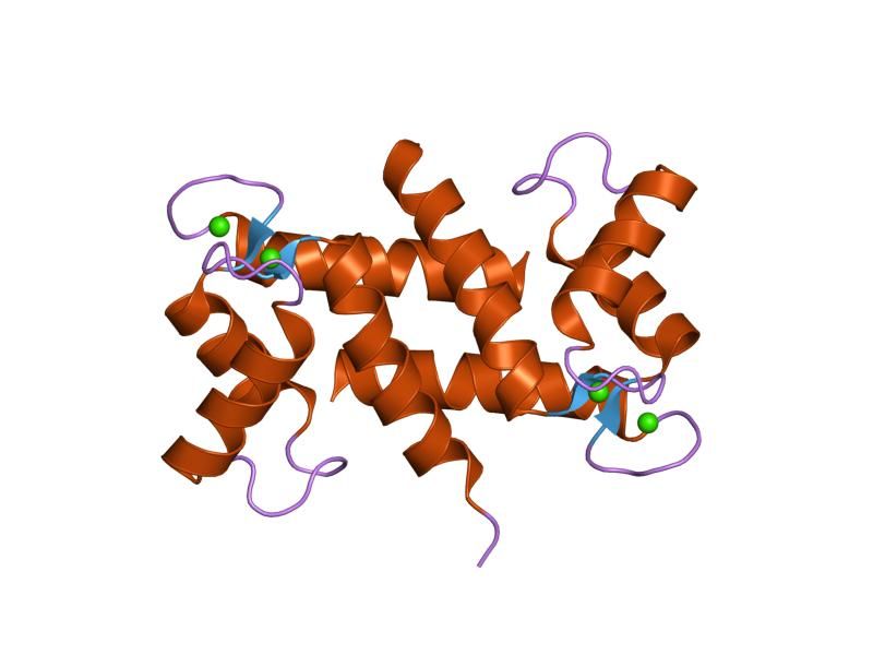 File:PDB 1e8a EBI.jpg