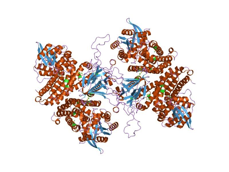 File:PDB 1foe EBI.jpg