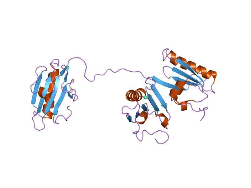 File:PDB 1jhw EBI.jpg