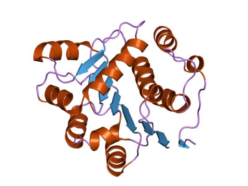 File:PDB 1qva EBI.jpg