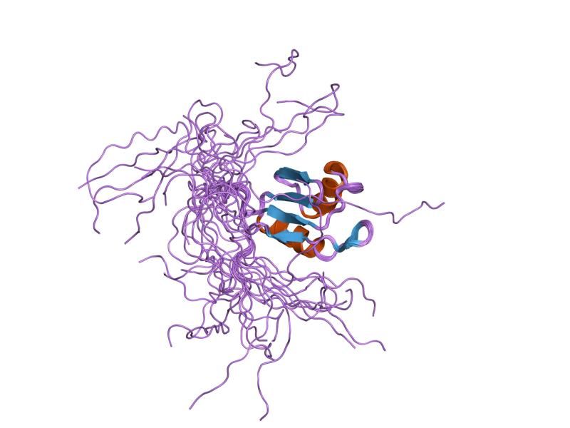 File:PDB 1wf1 EBI.jpg