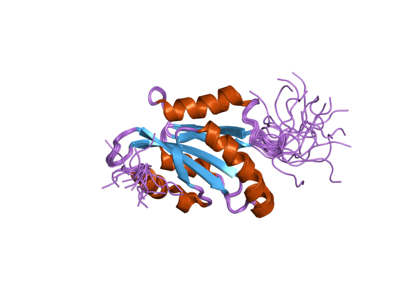 File:PDB 1x67 EBI.png