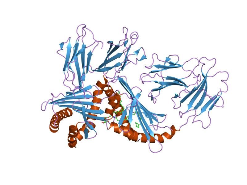 File:PDB 1zt4 EBI.jpg