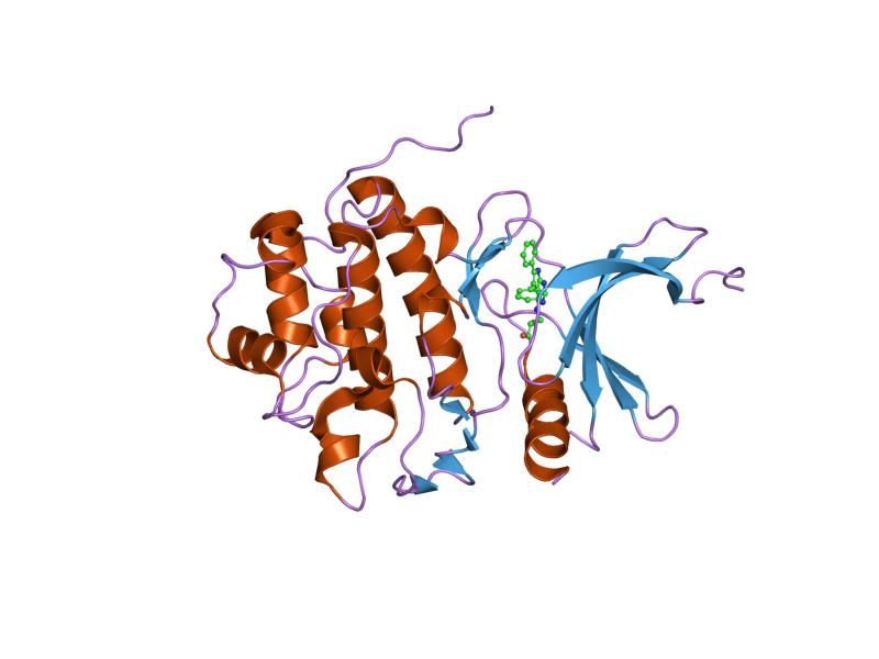 File:PDB 2bro EBI.jpg