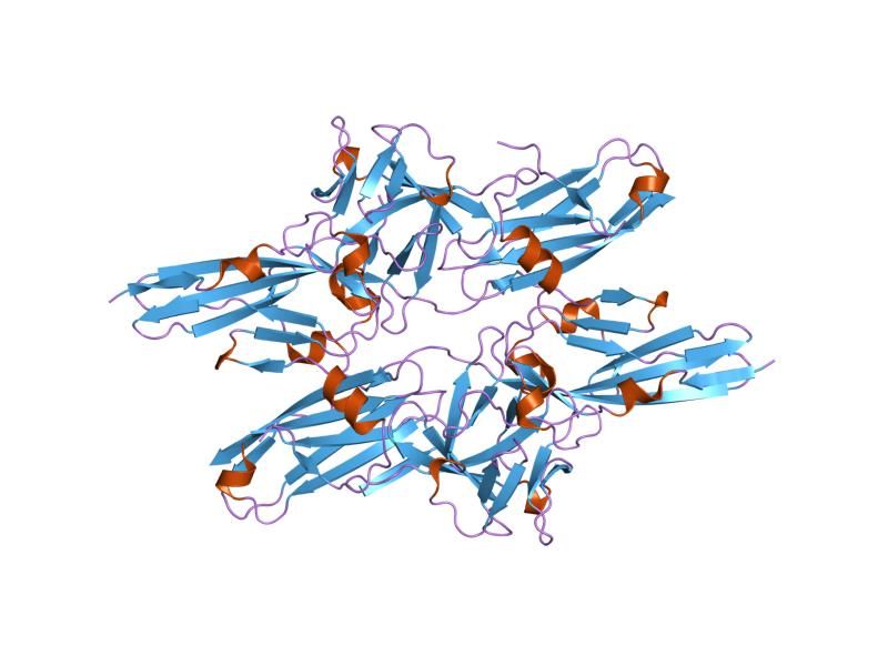 File:PDB 2fdb EBI.jpg