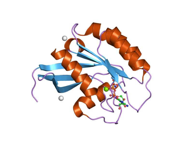 File:PDB 2g6b EBI.jpg