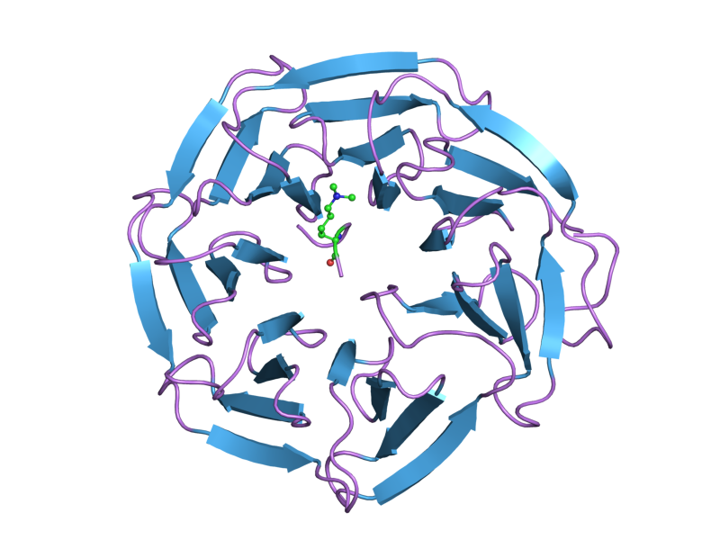 File:PDB 2g9a EBI.png